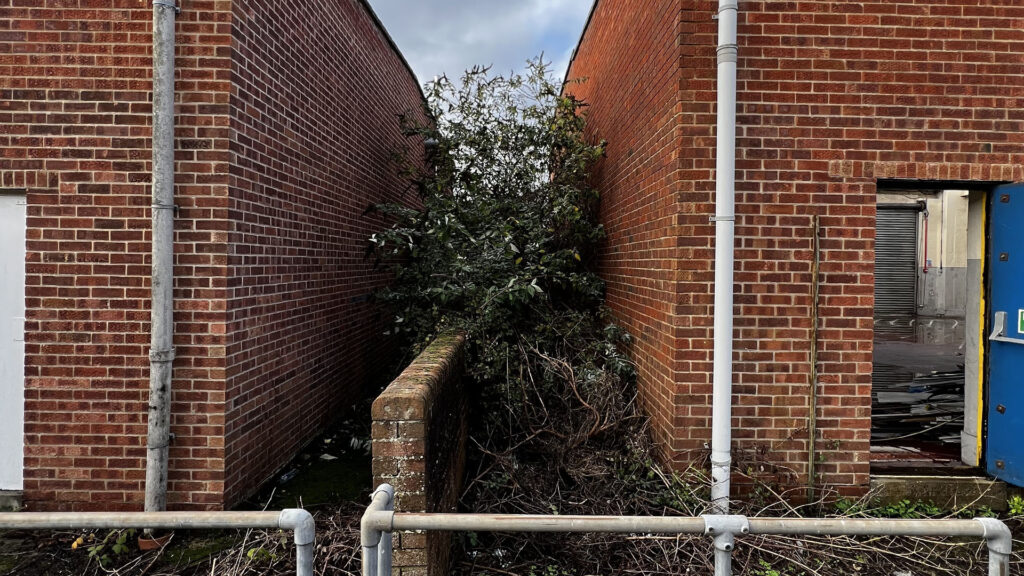 What Happens If You Ignore Party Wall Etiquette Norwich